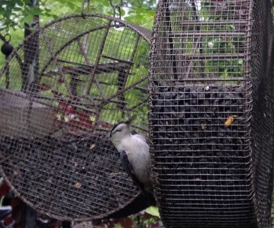 From a MIG Welding Wire Spool to a Bird Feeder