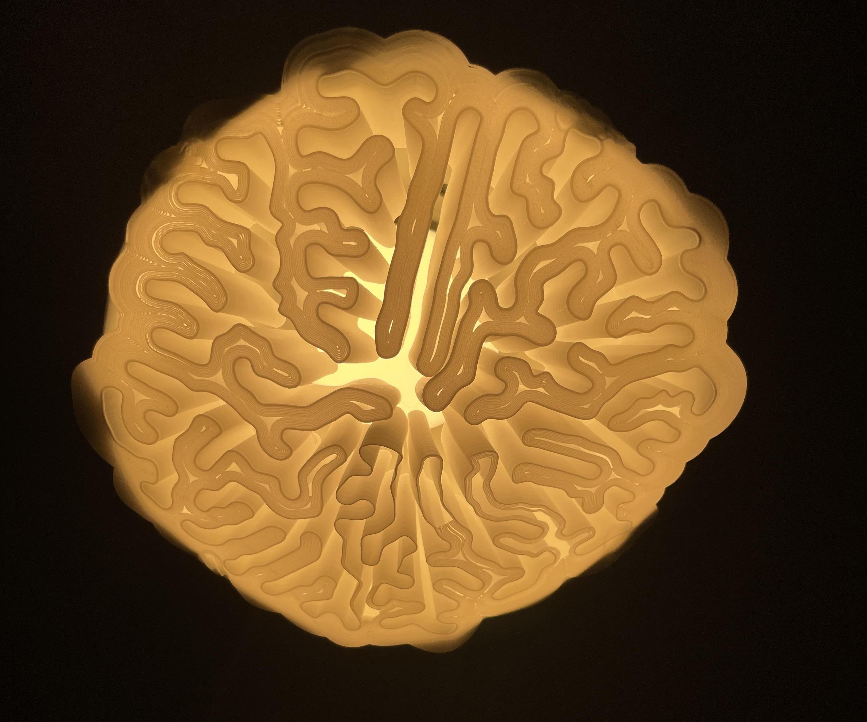 3D Printed Lamp Shade - Differential Growth Design in Grasshopper