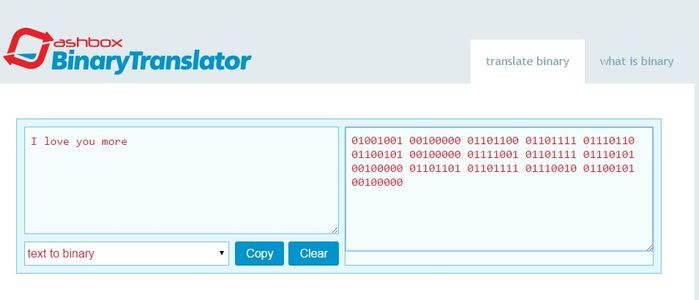 Generate Your Binary
