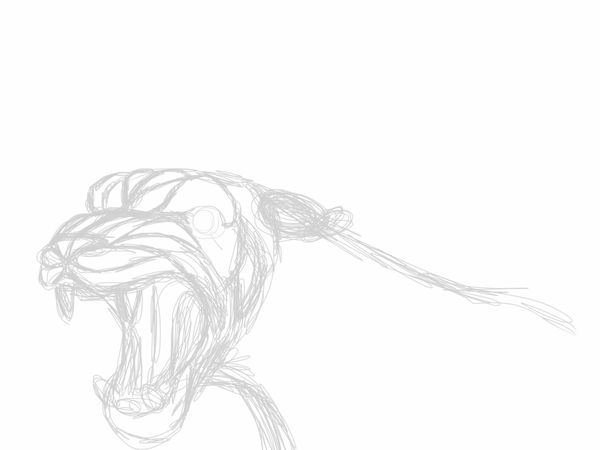 Sketch Lion