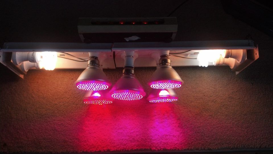 LED CCFL Plant Grow Light