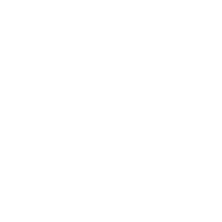 download {{ file.name }}