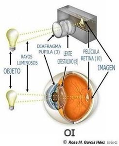 Luxometro Con Ldr