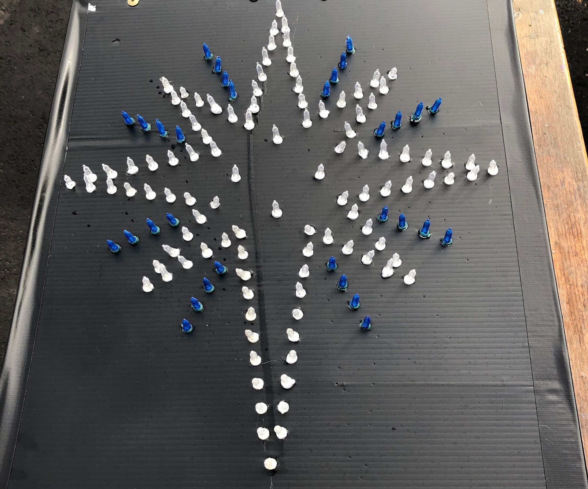 LED Bethlehem Star for Outdoors / Roof