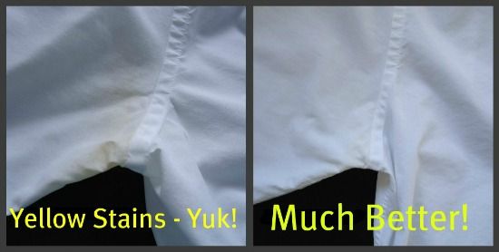 men short sleeve dress shirt adidas