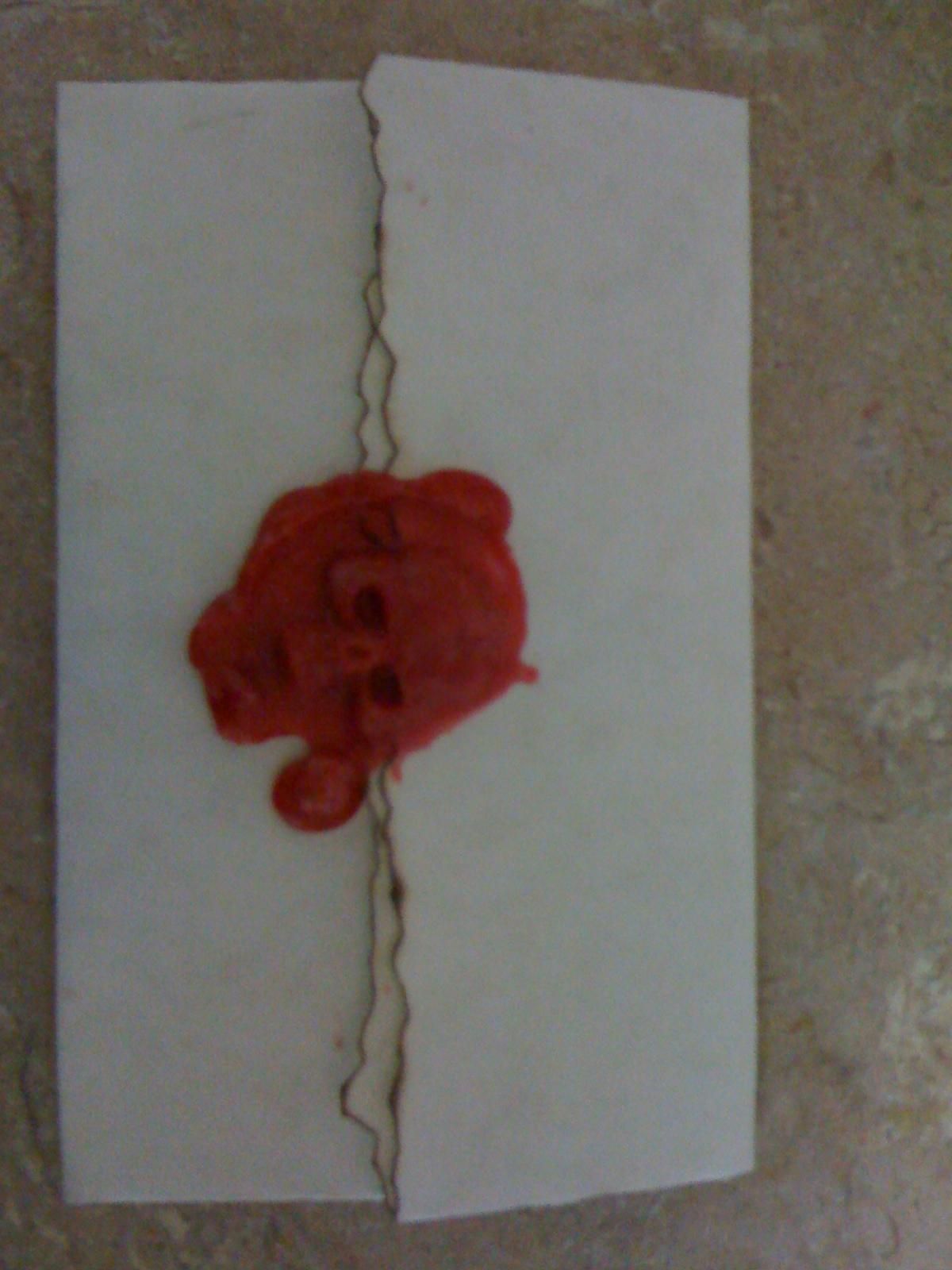 Pirate Invitations  ( Wax Seal )