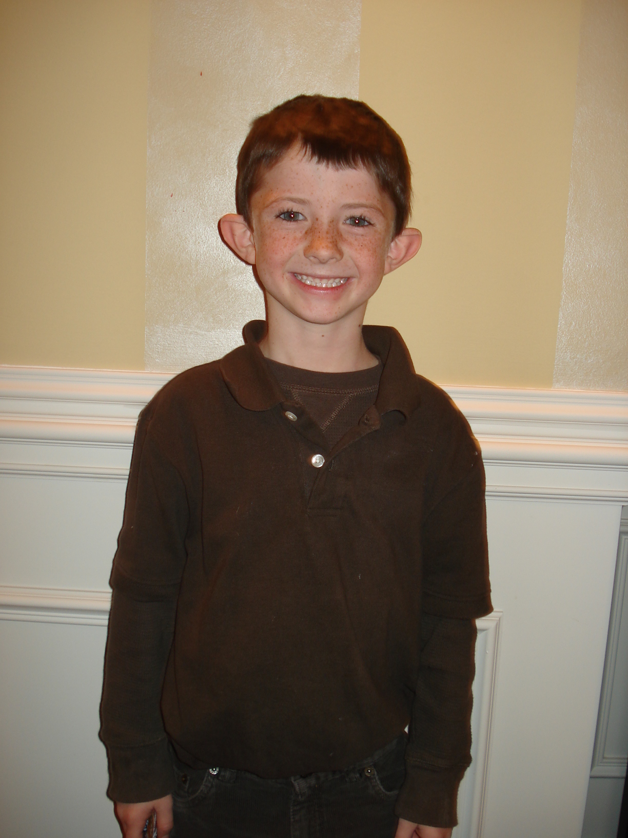 Awesome UPS Costume (fast & Free)