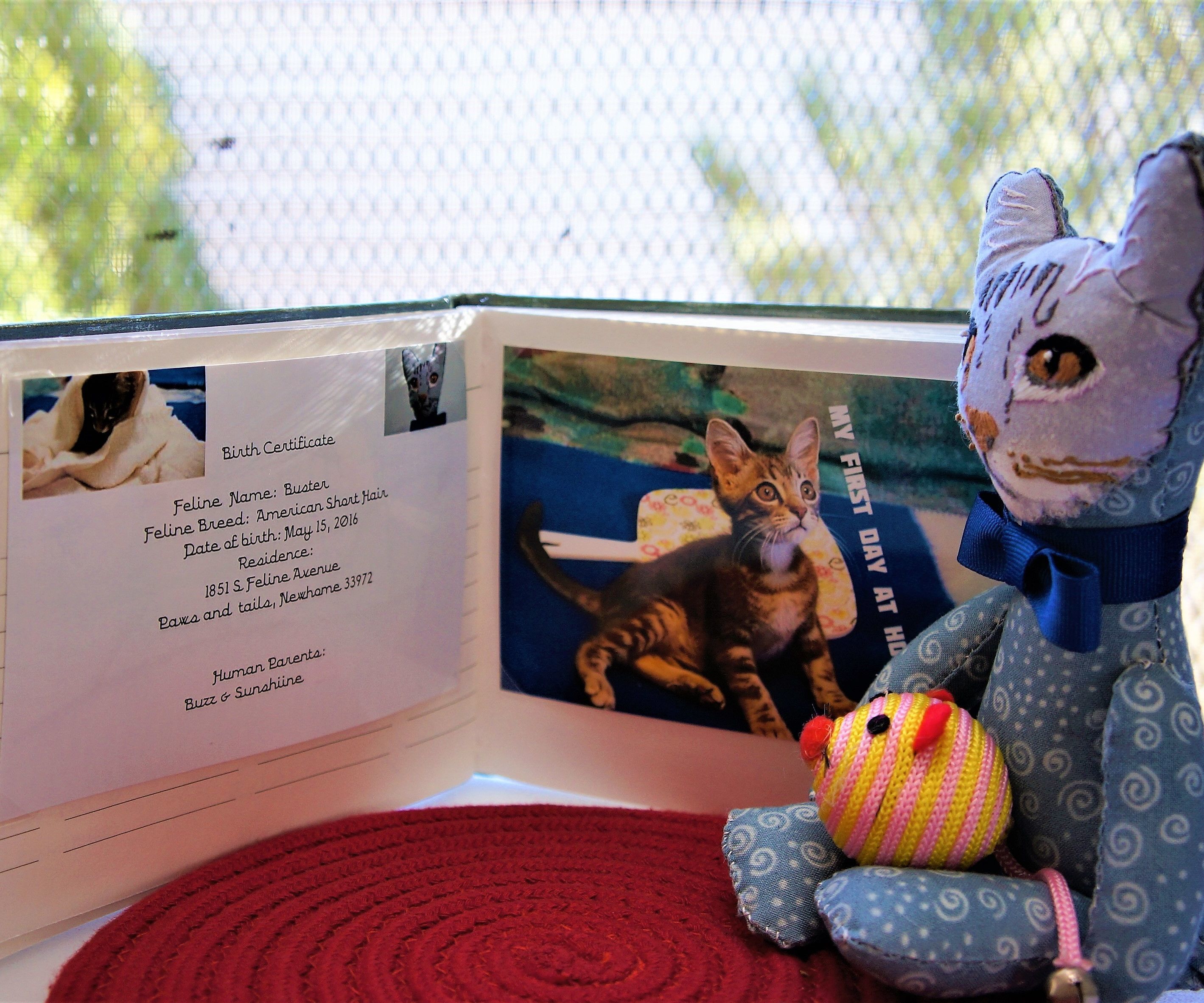 Kit N Clones Gift Idea for Animal Lovers