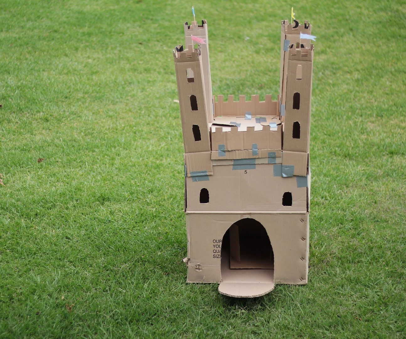 A Cat's Castle