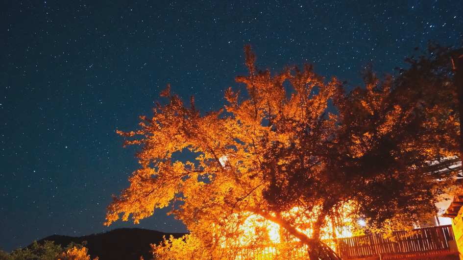 A Timelapse in LightRoom