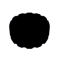 download {{ file.name }}