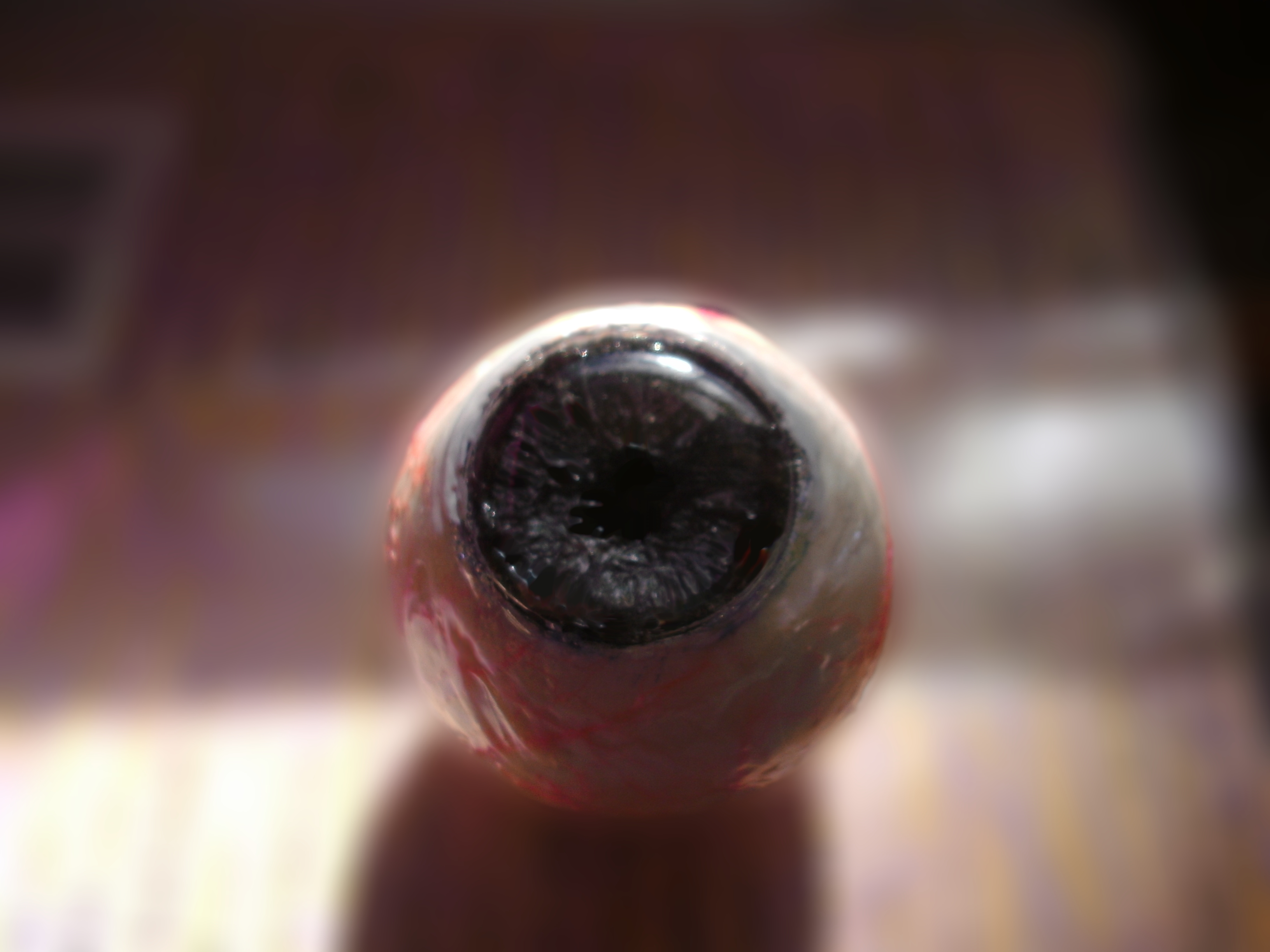 Eyeballs for Special Effects, Halloween, or Animatronics Really Cheap.