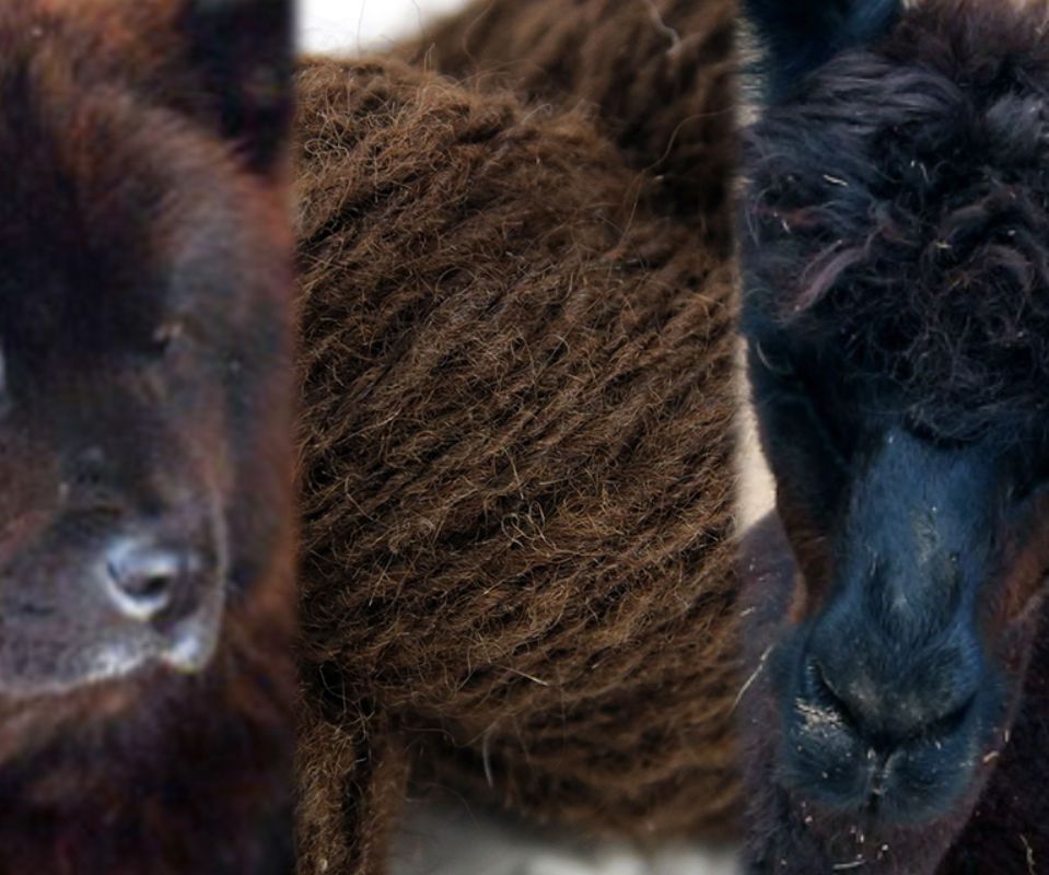 When Puppy Met 'Paca: Handspinning a Yarn With Dog Fur and Alpaca on a Spinning Wheel