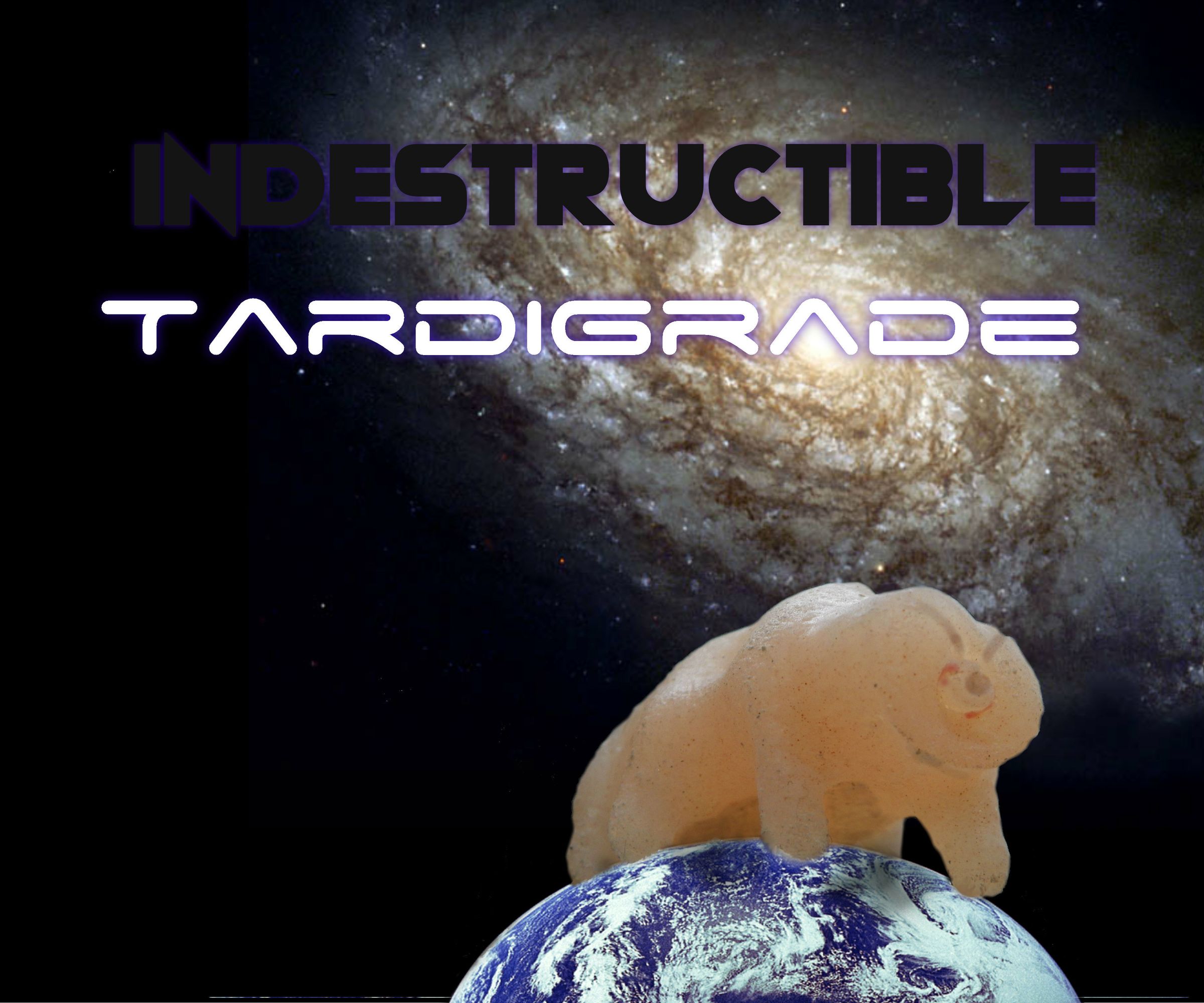 Silicone Cast Tardigrade