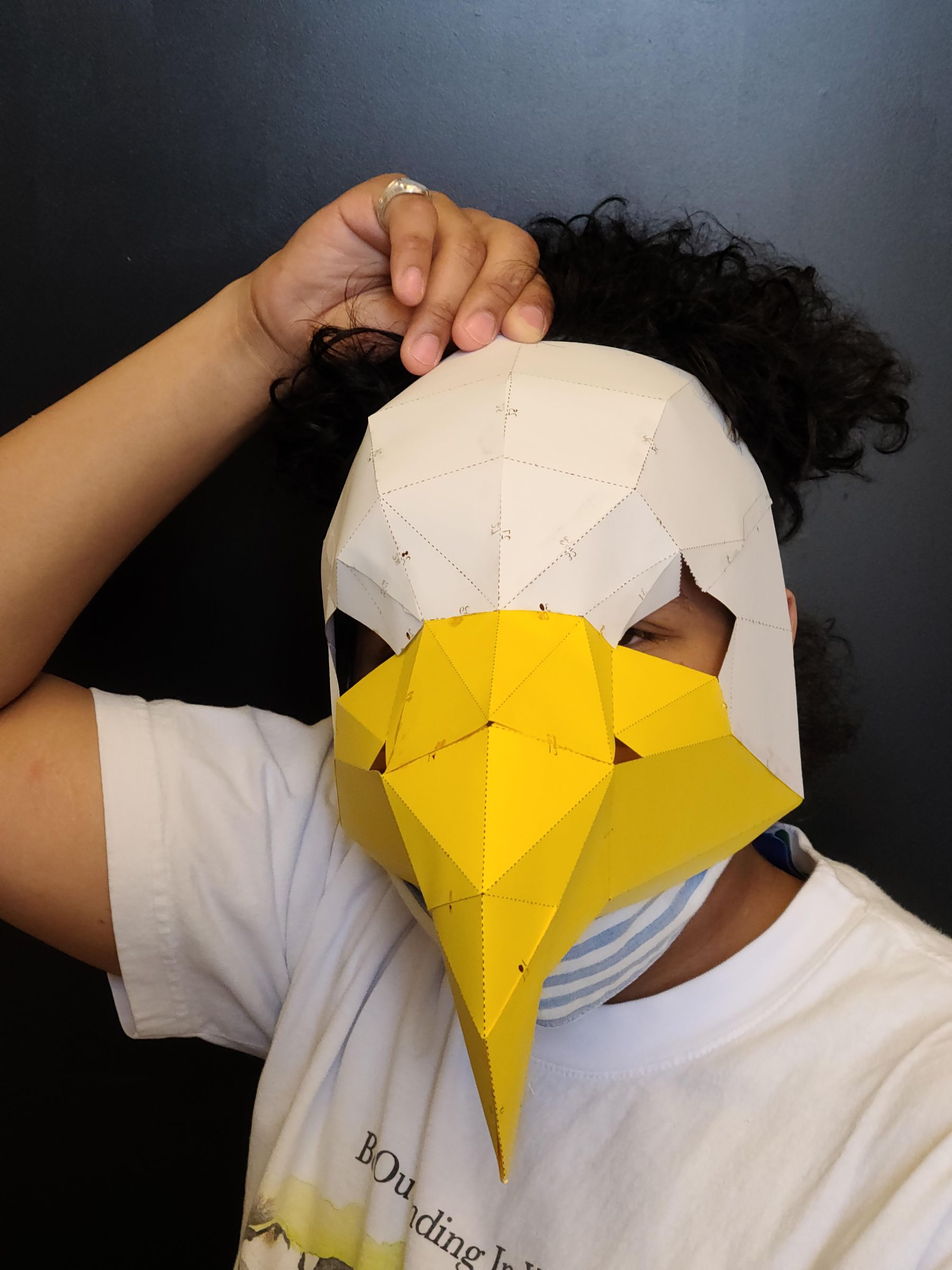 Cyborg Crafts: Sense Direction Like a Bird: Sensory Extension Mask : 8  Steps (with Pictures) - Instructables, image size:768x1024