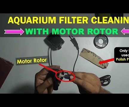 How to Clean Aquarium Filter