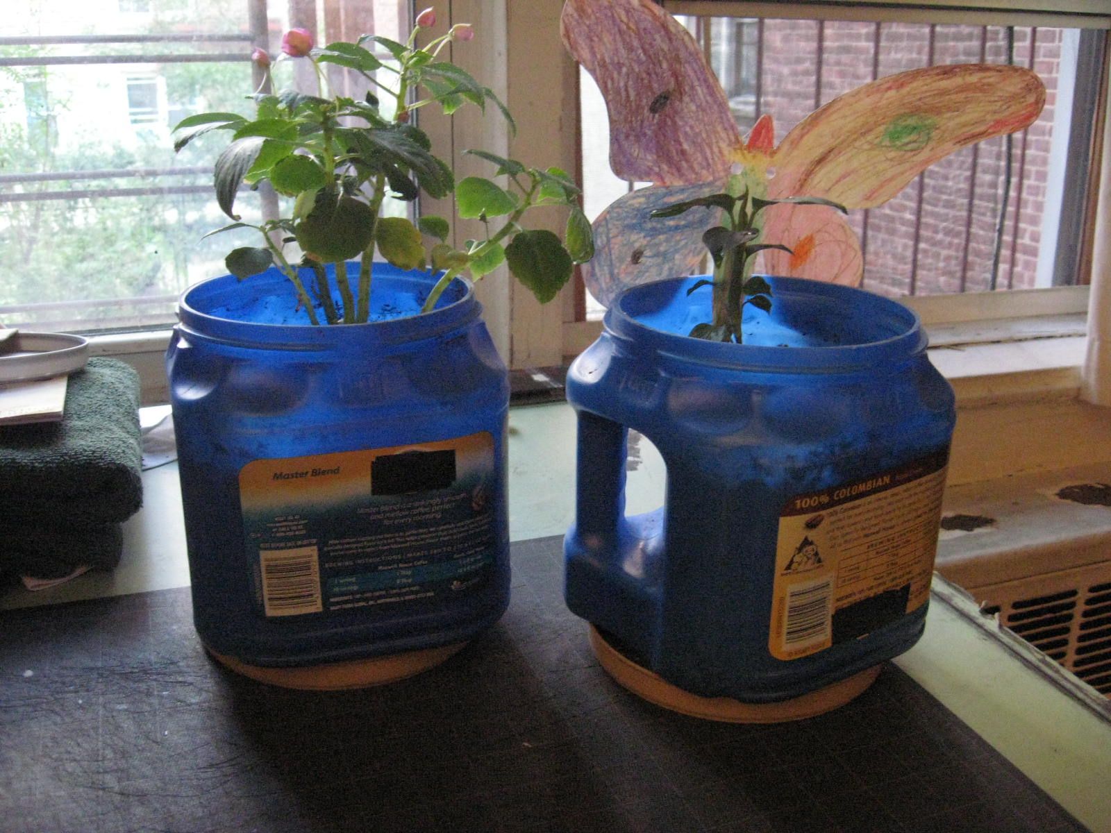 Coffee Can Planters