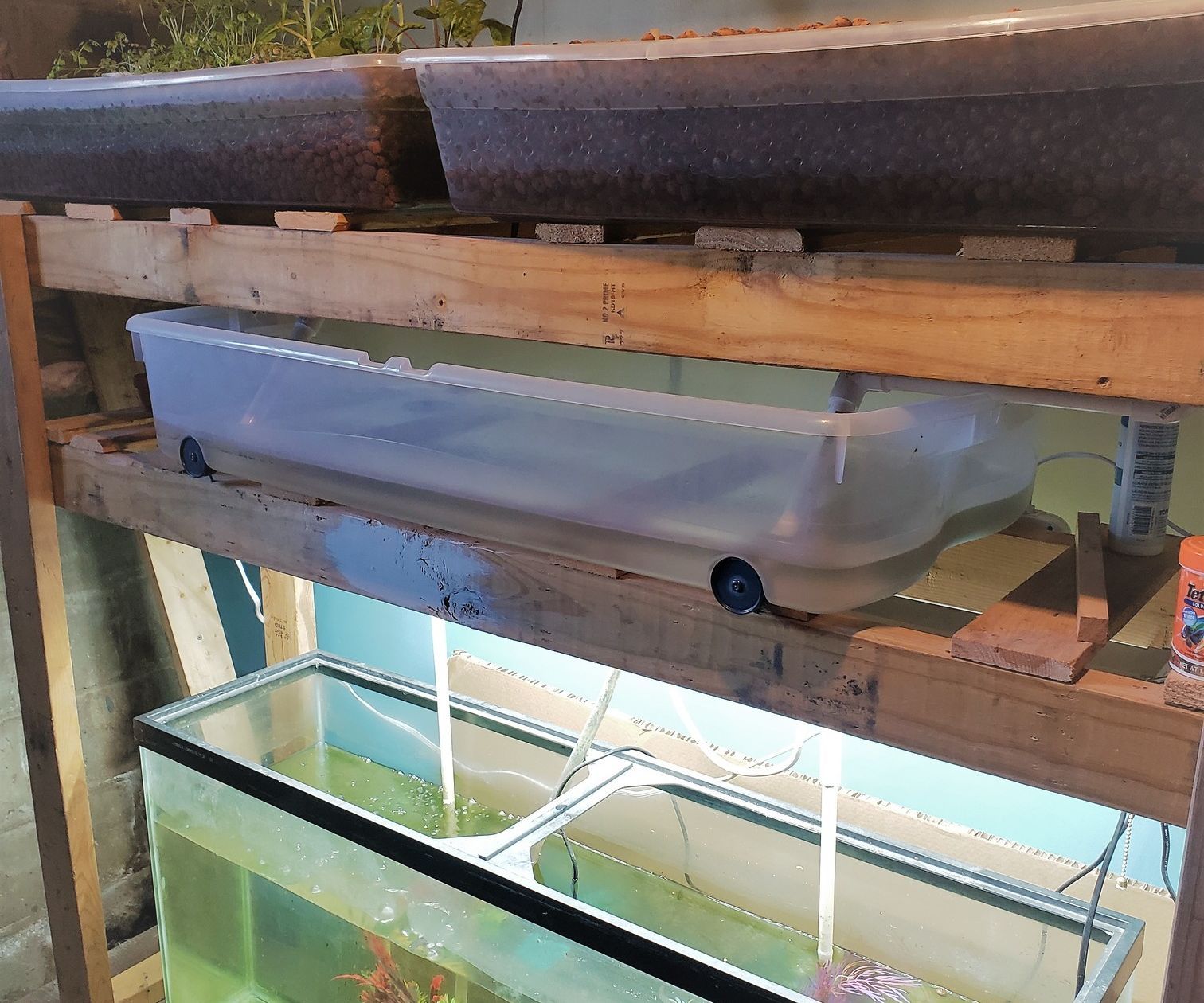 DIY Basement Aquaponics : 14 Steps (with Pictures) - Instructables, image size:1512x1260
