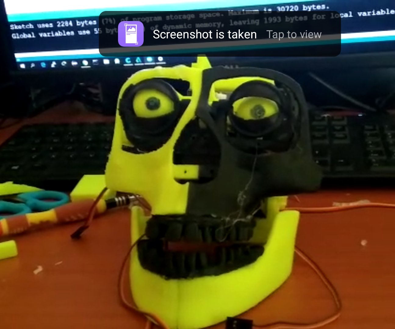 Mona, My Personal Assistant Animatronic Robot