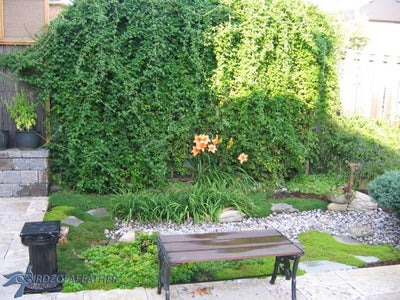 Plantings - Trellis Over the Seasons