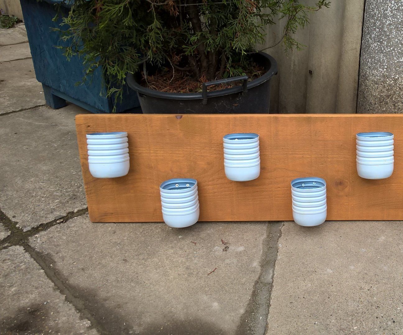 Herb rack from plastic bottles