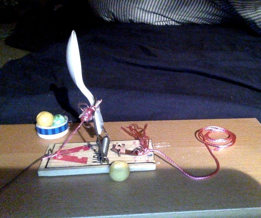 Mouse Trap Catapult  for 4$
