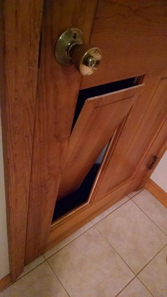 Cat Door Flap Diy Cat Door Flap Diy