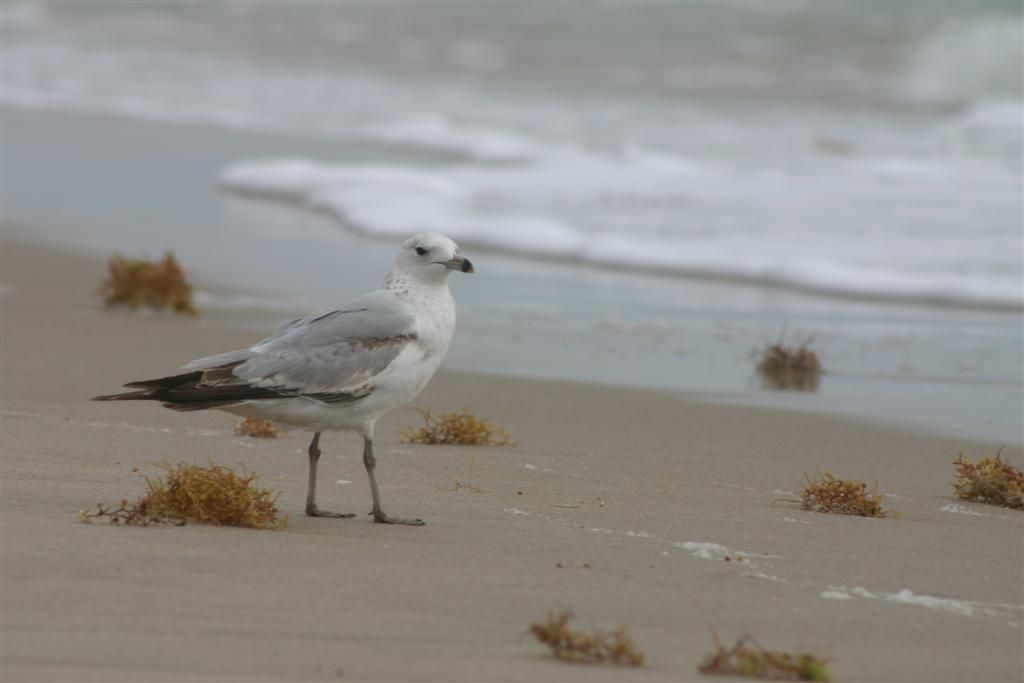 Advice for the Hurricane Noobs