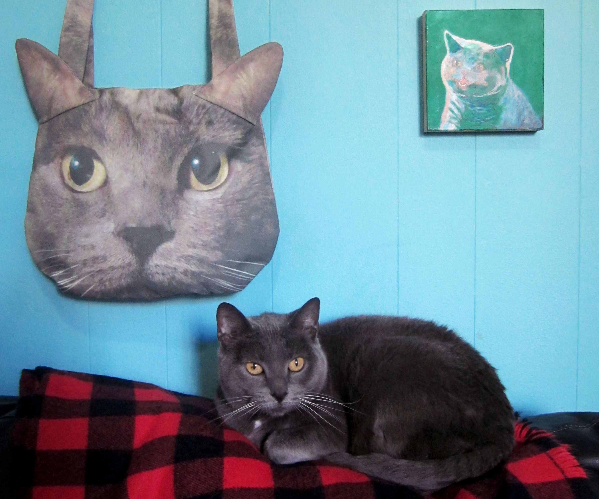 DIY Cat Purse Using Custom Photo