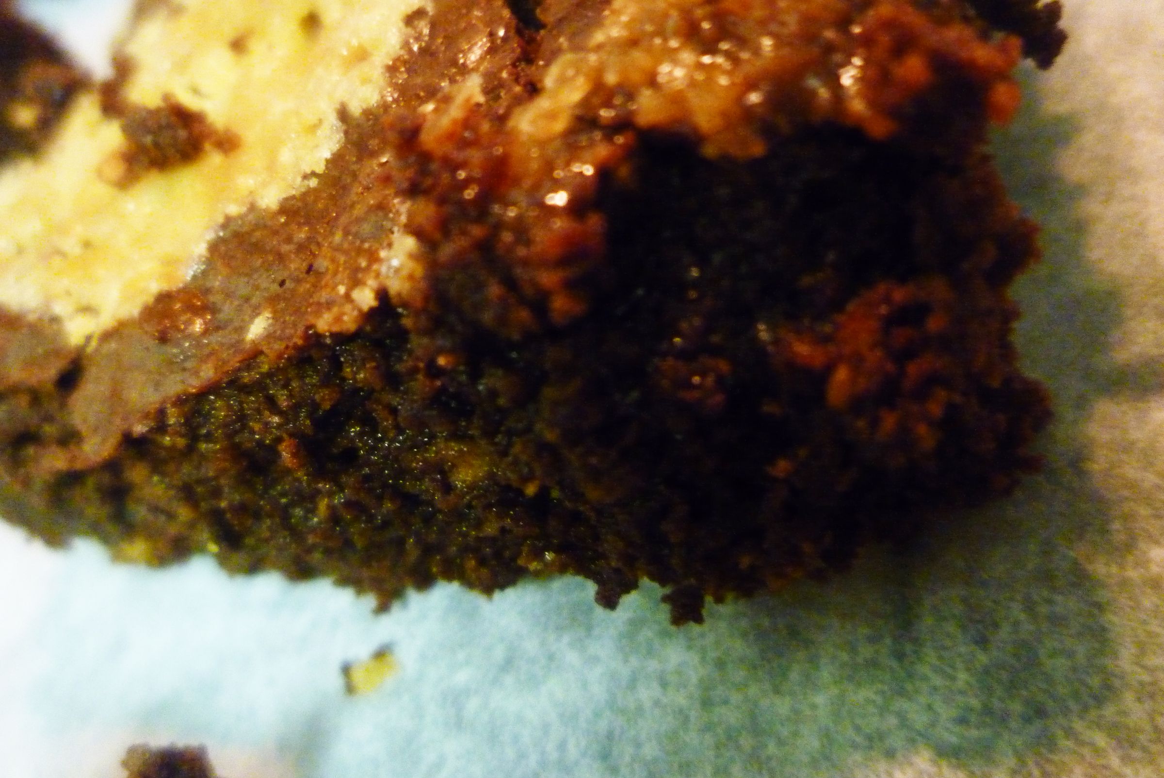 Salted Caramel Brownies - (optional: Gluten Free, Dairy Free)