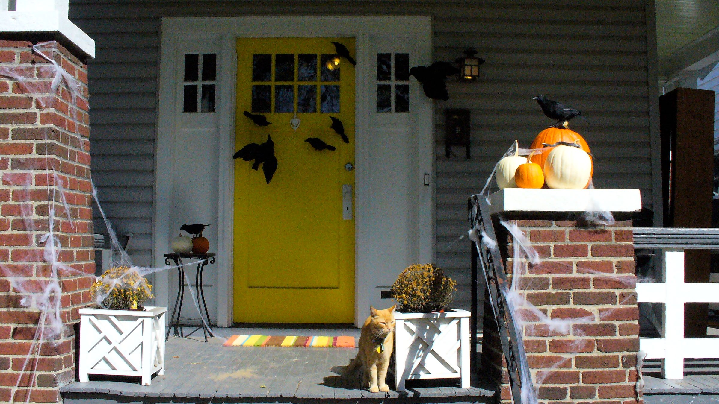 Spooky Front Stoop " the Birds "