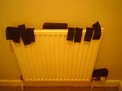 Cleaning the Insides