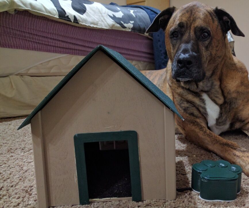 Automatic Dog Treat Dispenser 
