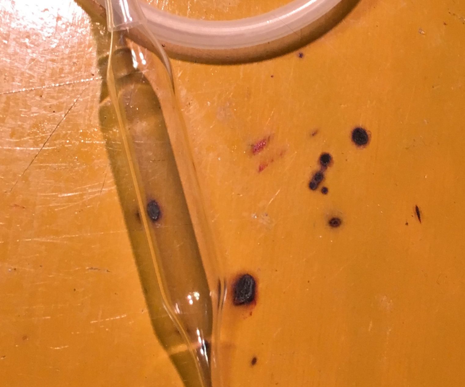 How to Make a Your Own Glass Pipette