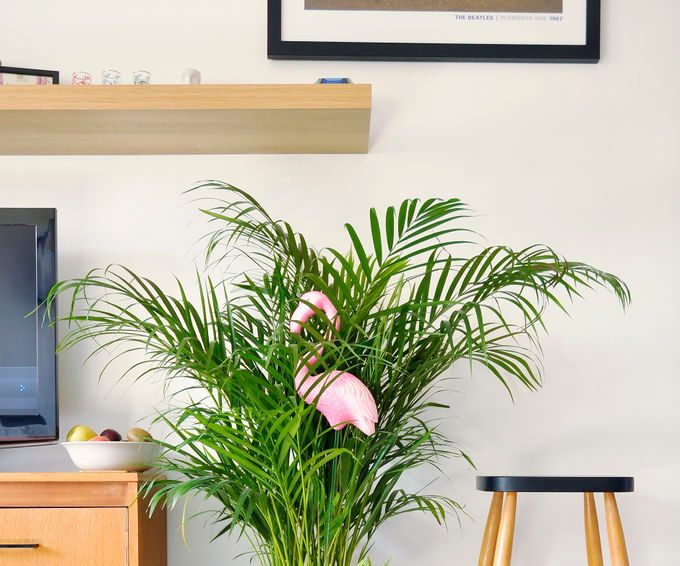 Maceta hexagonal de concreto