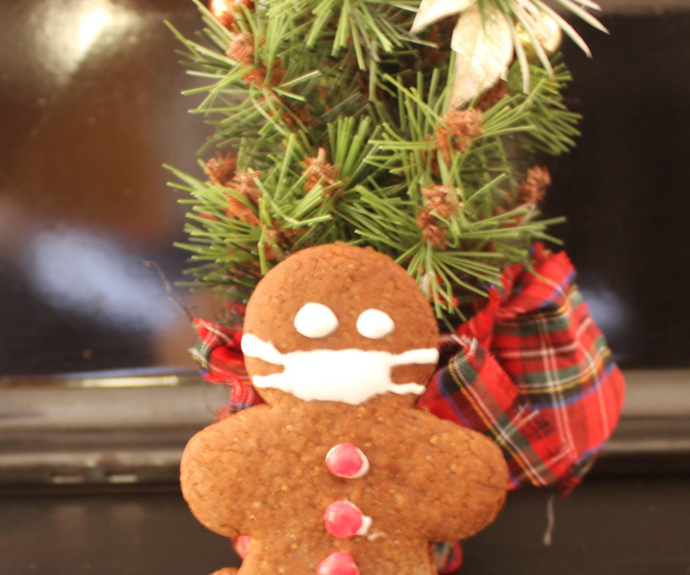 Masked Gingerbread Men