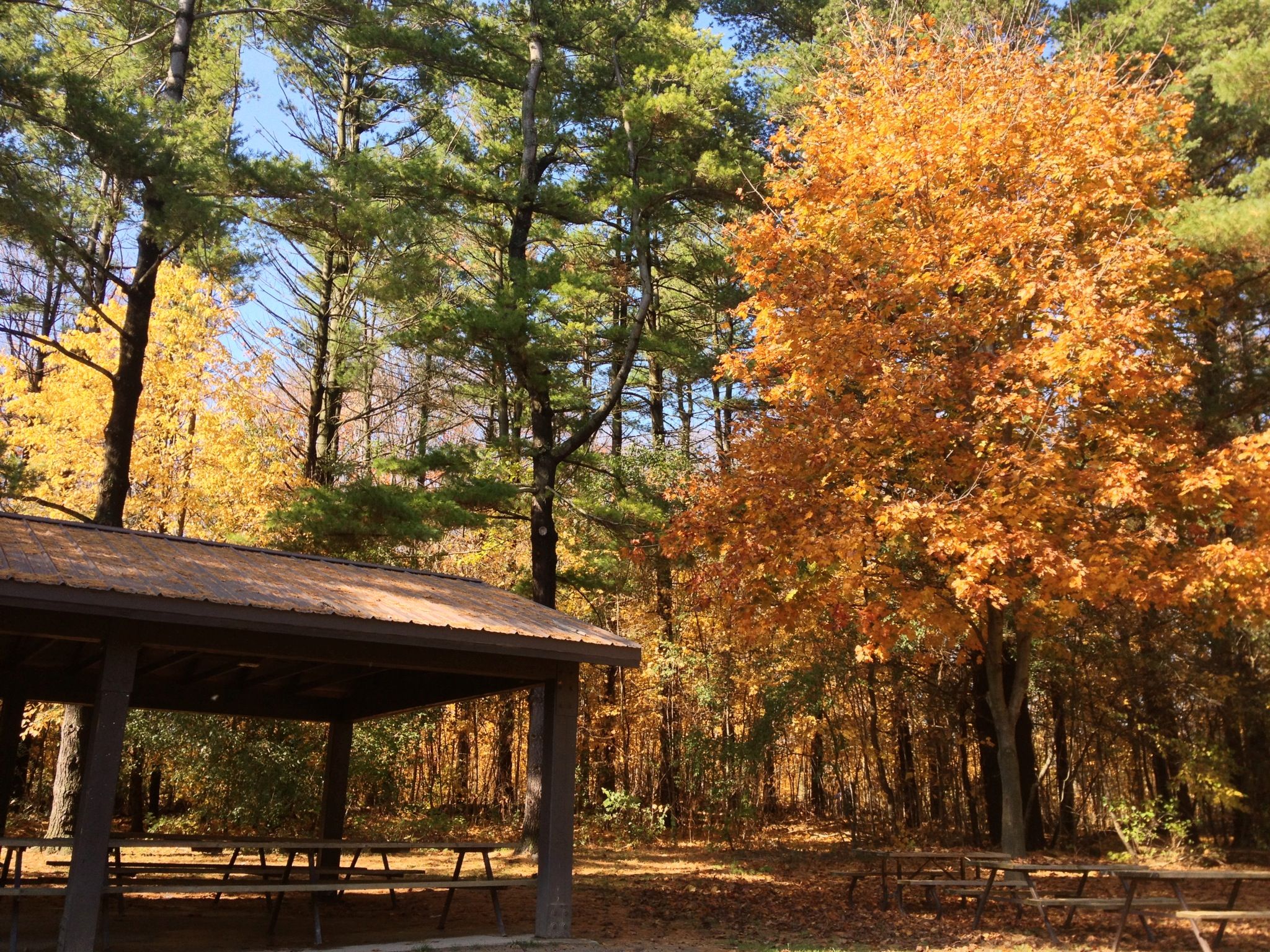 Shooting Awesome Photos With Your IPhone
