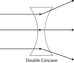 Harvest Double Concave Lenses