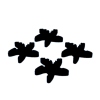 download {{ file.name }}