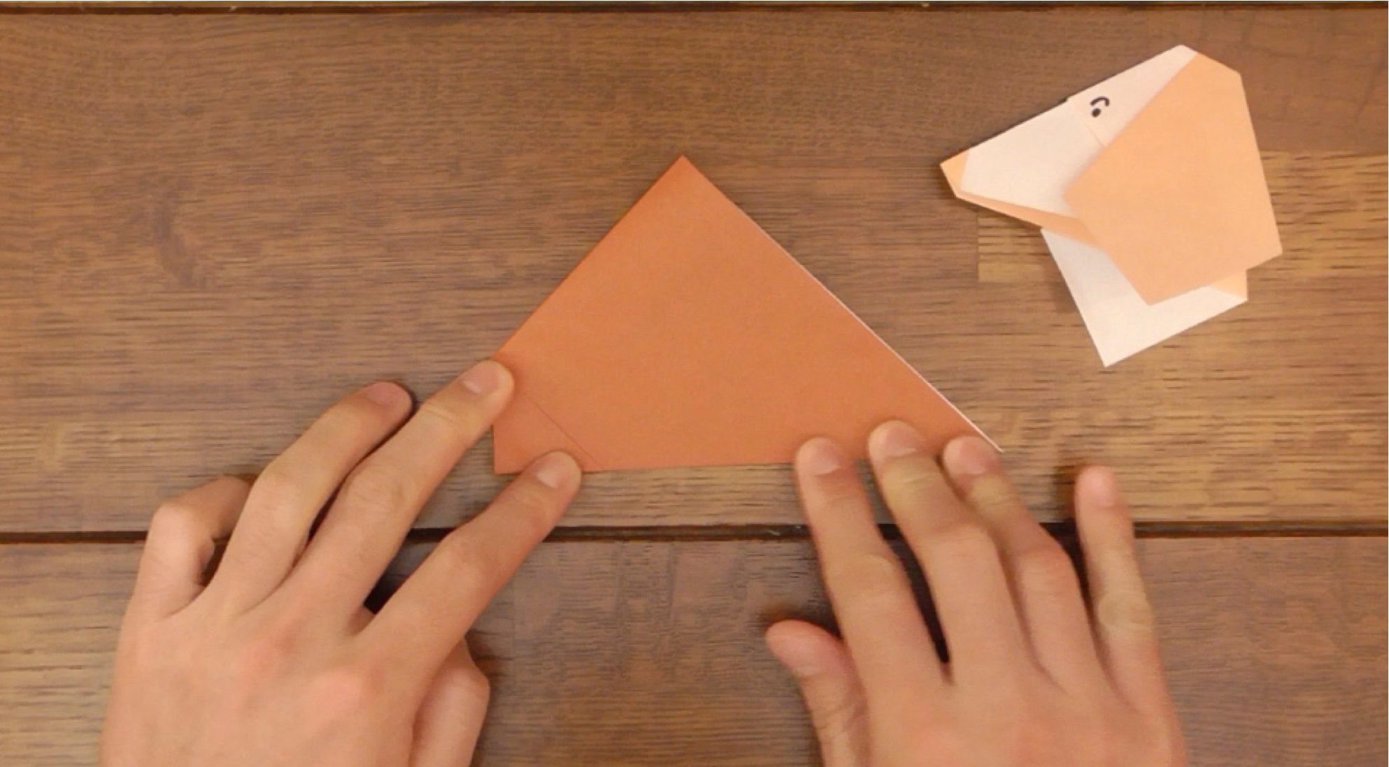 How to Make Head Nod in Dogs! 15 Steps (with Pictures) Instructables