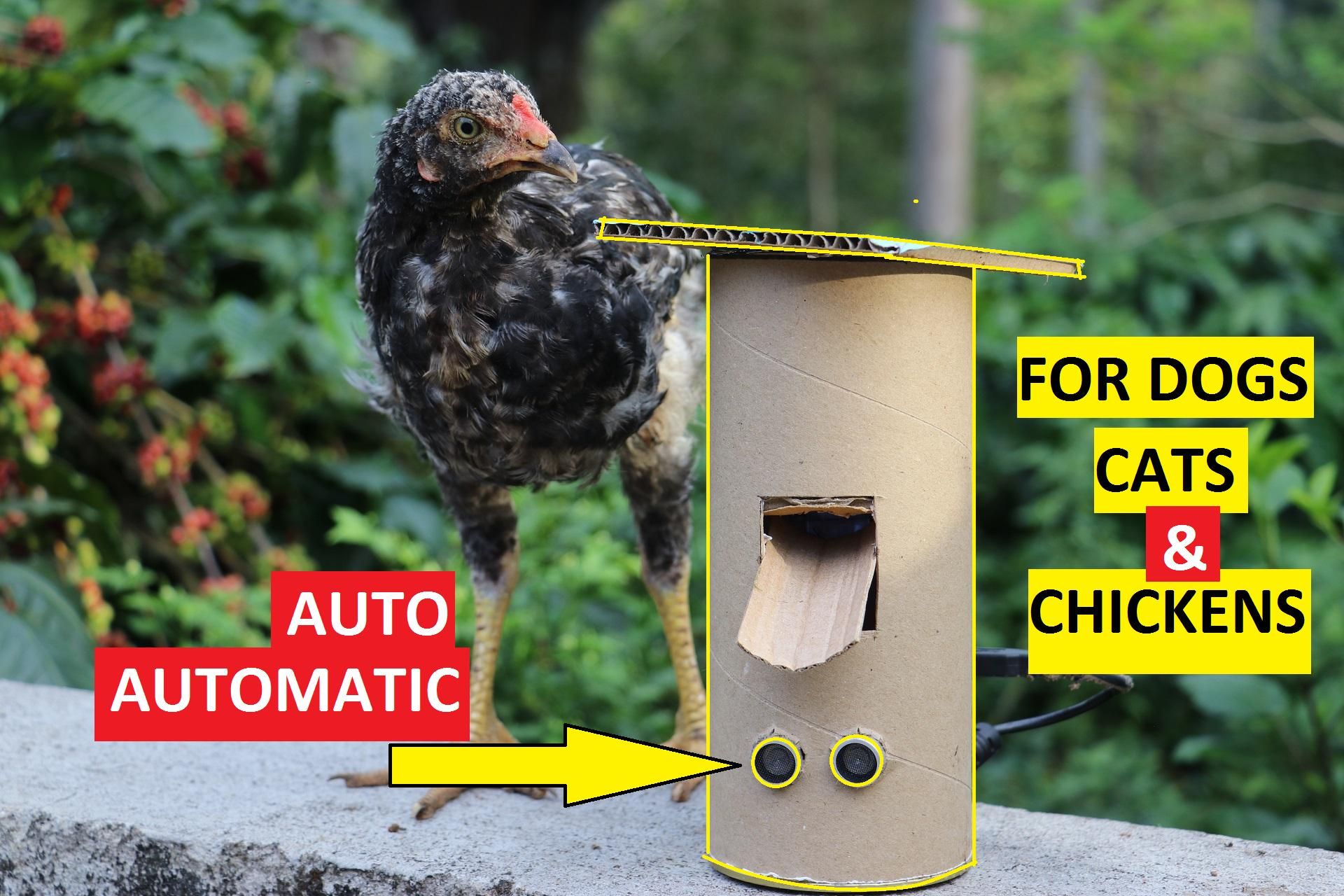 Automatic Food Dispenser From Arduino : 8 Steps (with Pictures ...