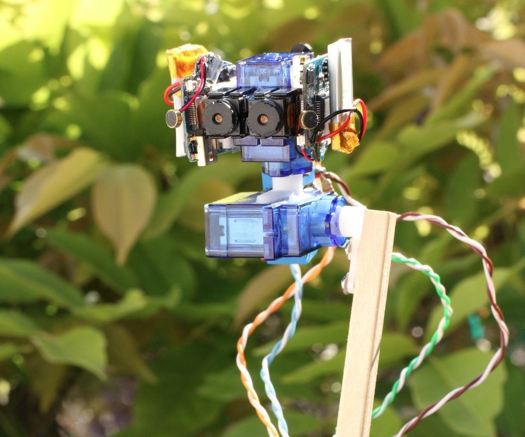 Binocular Robot Head a Stereoscope Camera