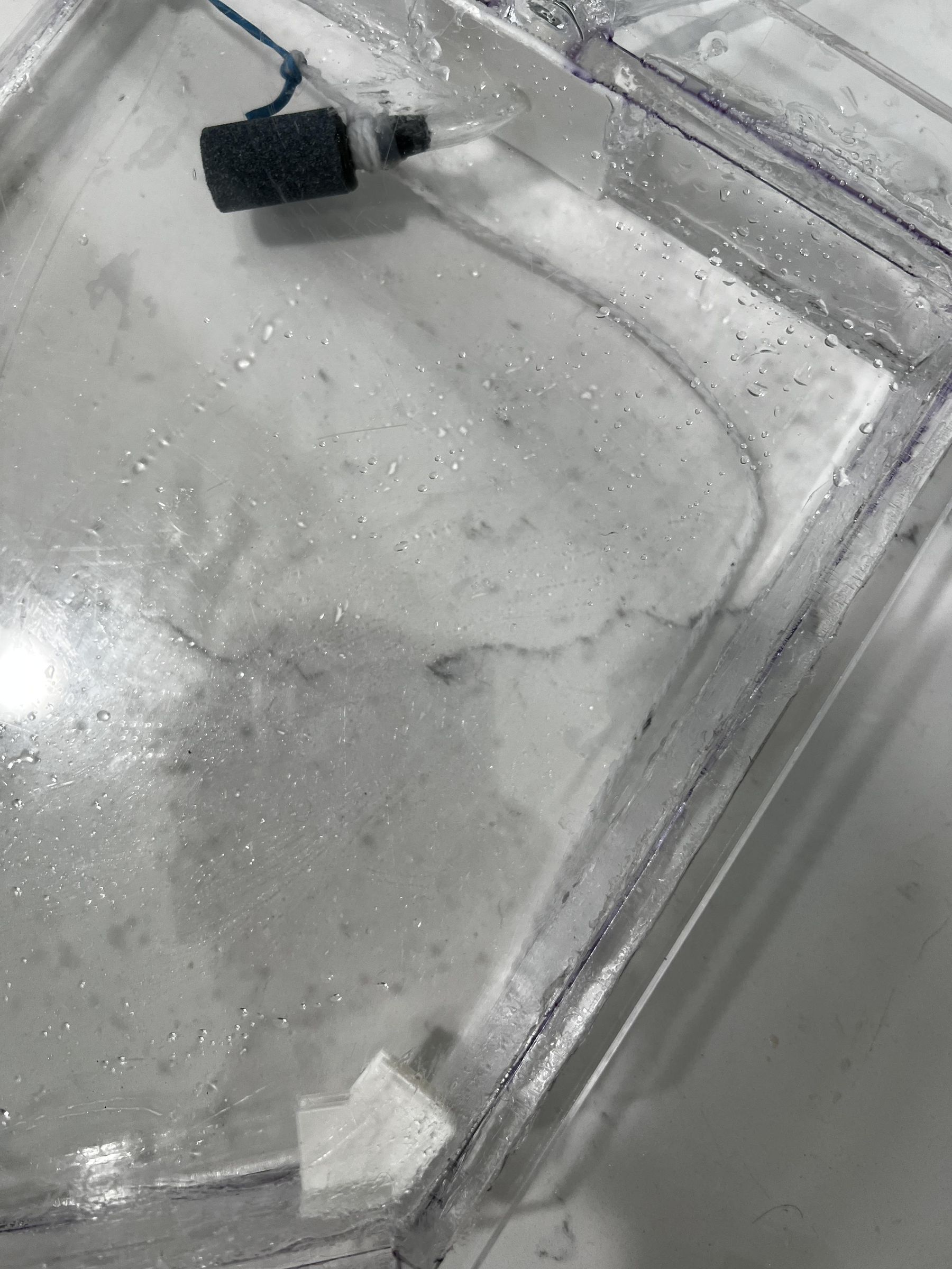 Smart Water Bubble Lamp 10 Steps (with Pictures) Instructables