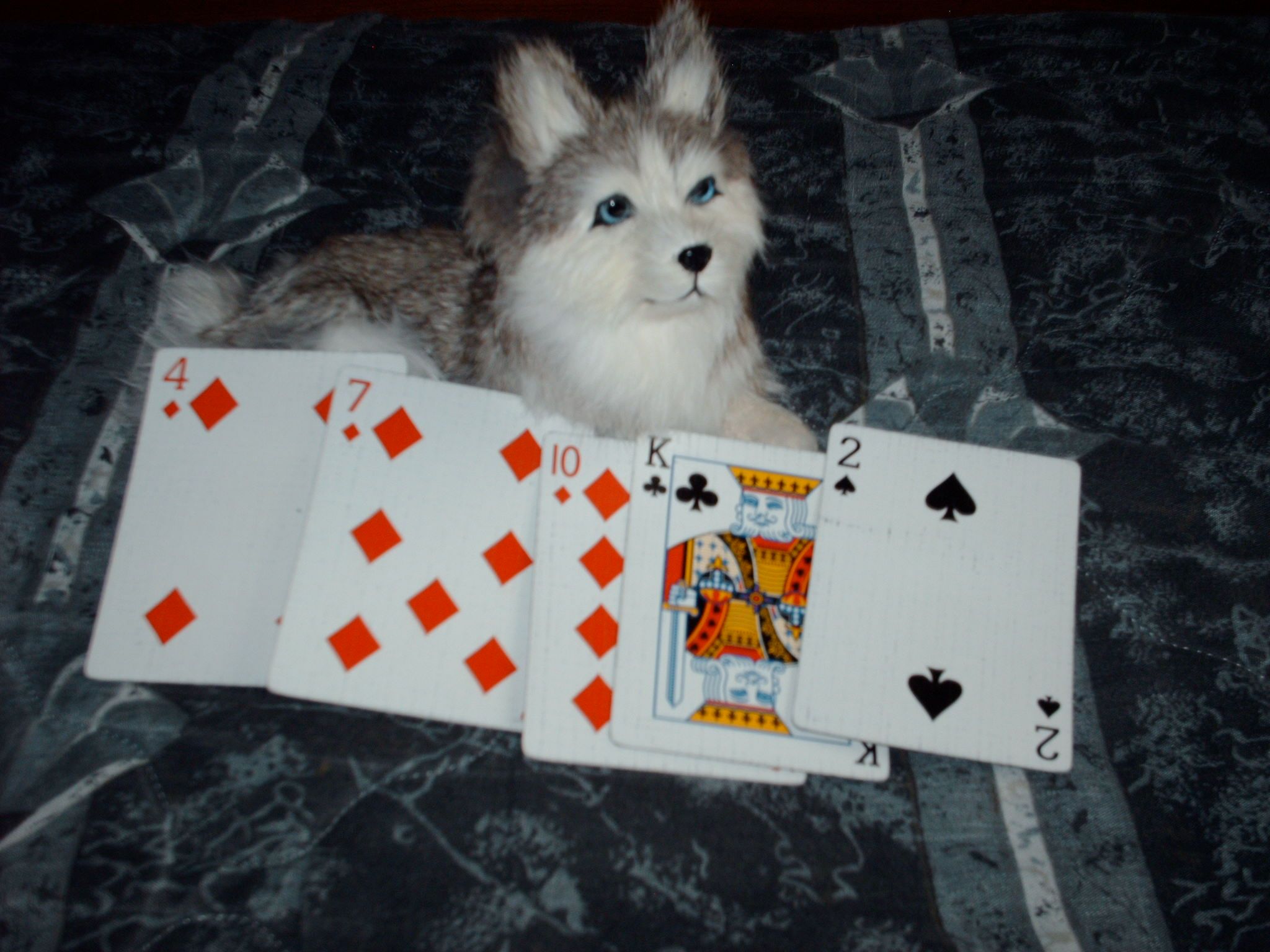Cards: Speed