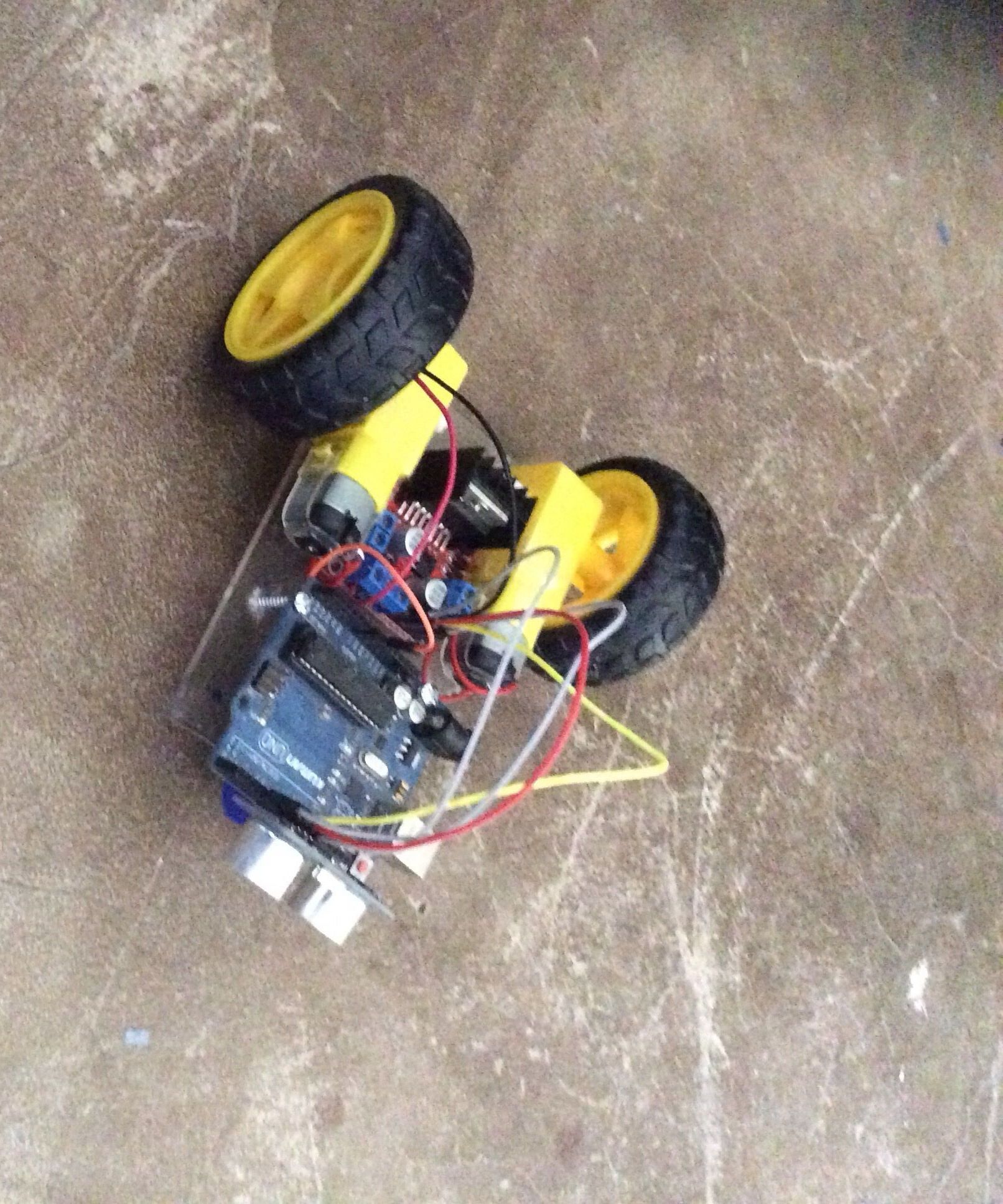 Robotic Cat Toy