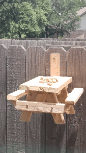 More Bench Visitors!