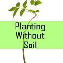Planting Without Soil