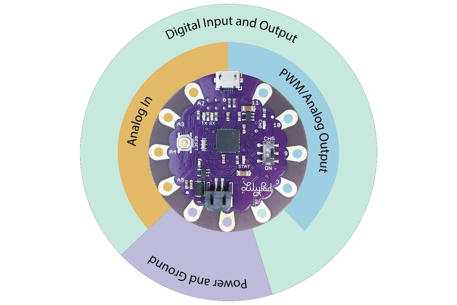 Pins of a Microcontroller 