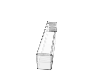 download {{ file.name }}