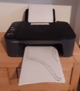 Download & Print Result